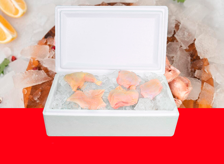 caja termica 10.5 lt